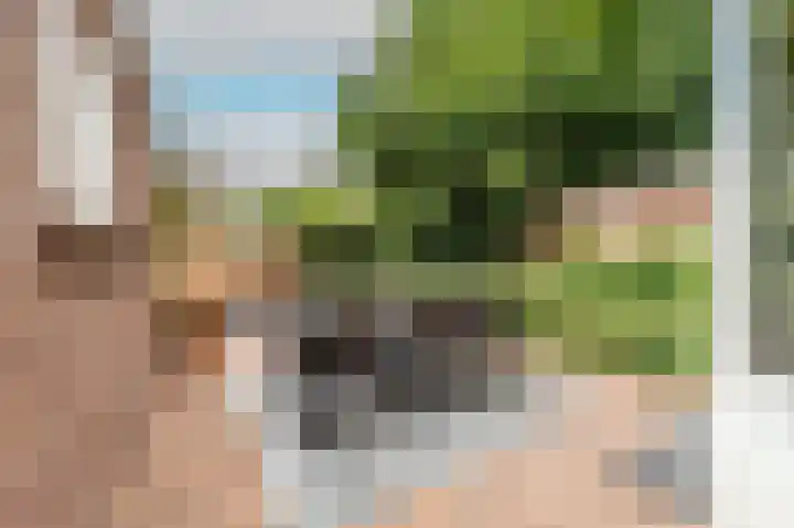Laan van Meerdervoort 202 Den Haag thumbnail 25