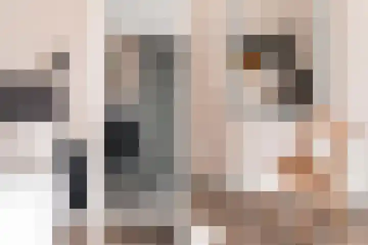Laan van Meerdervoort 202 Den Haag thumbnail 39