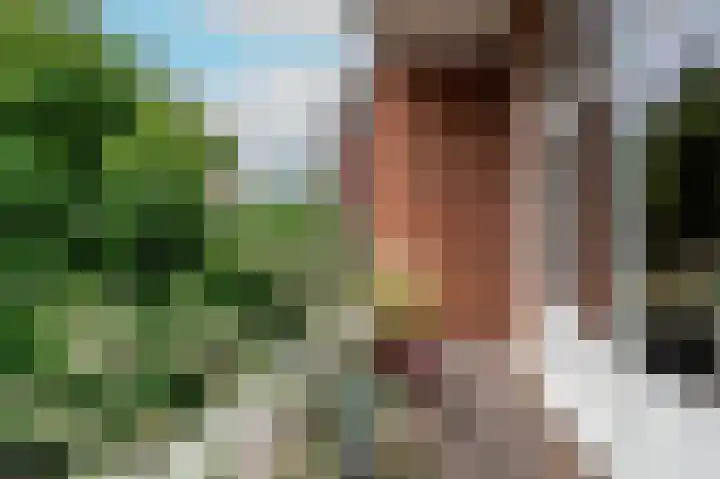 Laan van Meerdervoort 202 Den Haag thumbnail 42