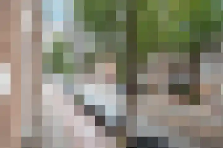 Laan van Meerdervoort 202 Den Haag thumbnail 50