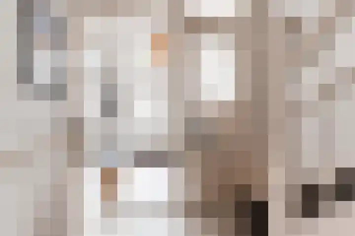 Laan van Meerdervoort 202 Den Haag thumbnail 6