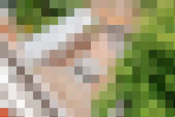 Laan van Meerdervoort 202 Den Haag thumbnail 63