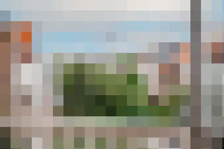 Laan van Meerdervoort 202 Den Haag thumbnail 66