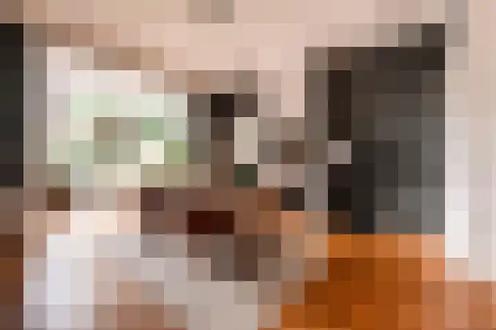 Laan van Meerdervoort 202 Den Haag thumbnail 77