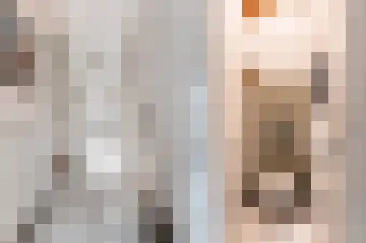 Laan van Meerdervoort 202 Den Haag thumbnail 8