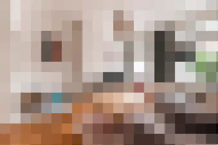 Laan van Meerdervoort 202 Den Haag thumbnail 9
