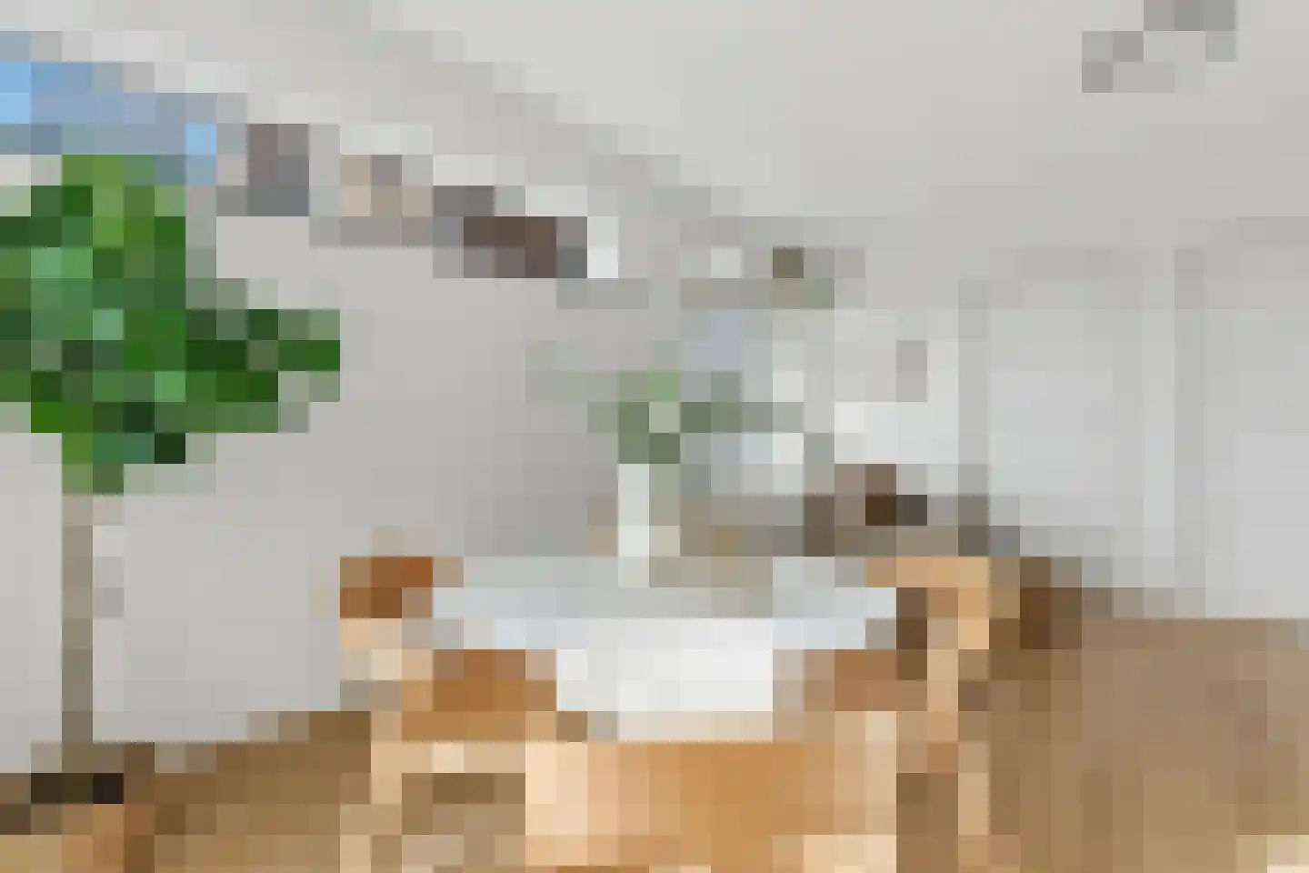 Laan van Meerdervoort 203 A Den Haag thumbnail 10