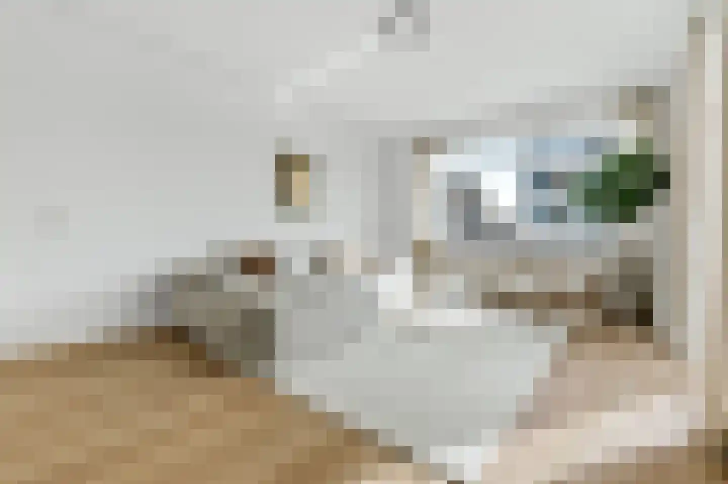 Laan van Meerdervoort 203 A Den Haag thumbnail 4