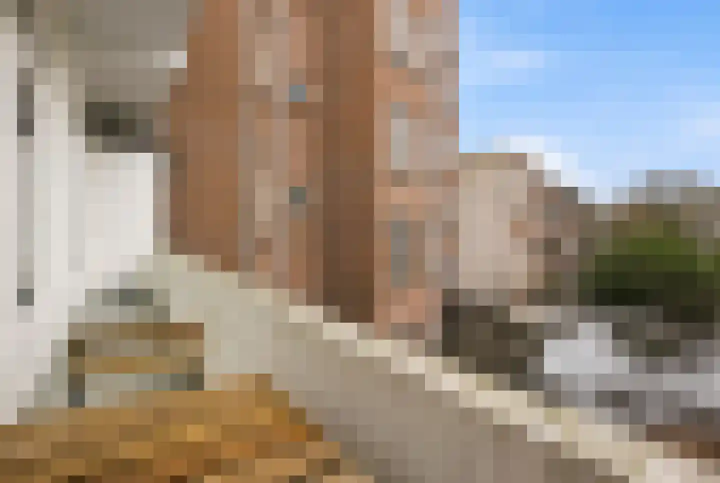 Laan van Meerdervoort 203 A Den Haag thumbnail 49