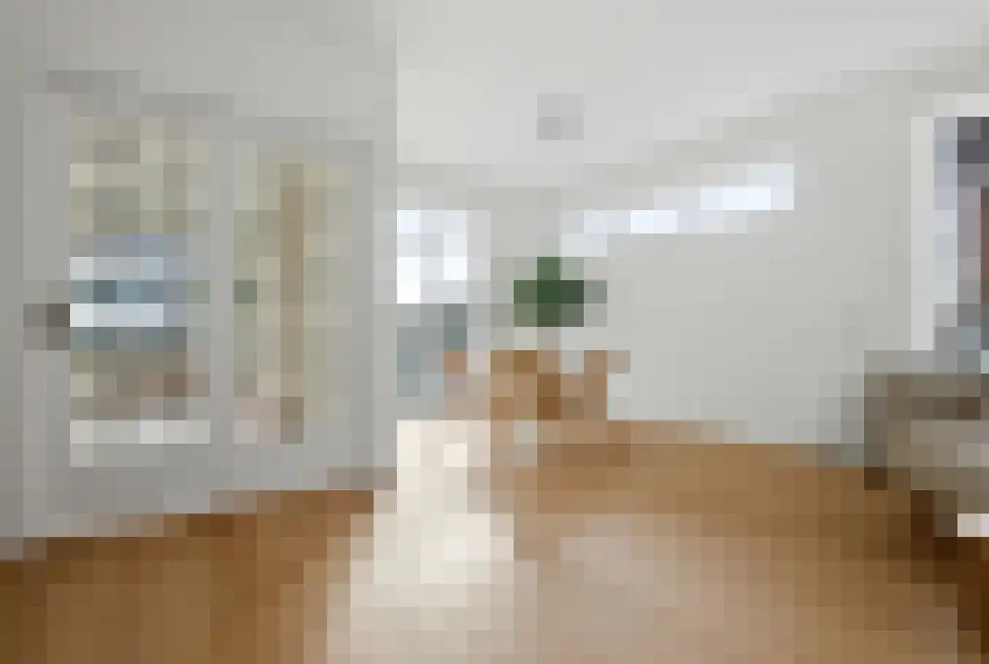 Laan van Meerdervoort 203 A Den Haag thumbnail 9