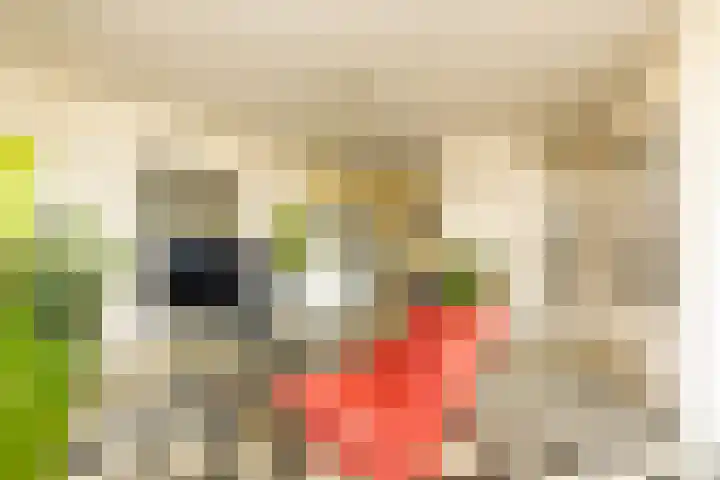 Laan van Meerdervoort 205 F Den Haag thumbnail 10