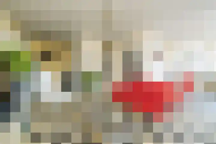 Laan van Meerdervoort 205 F Den Haag thumbnail 11