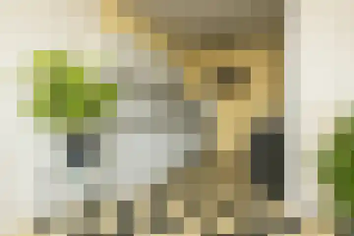 Laan van Meerdervoort 205 F Den Haag thumbnail 12
