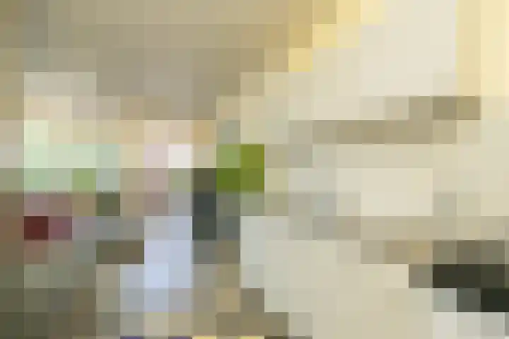 Laan van Meerdervoort 205 F Den Haag thumbnail 13