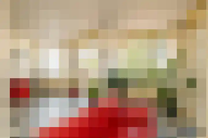 Laan van Meerdervoort 205 F Den Haag thumbnail 14