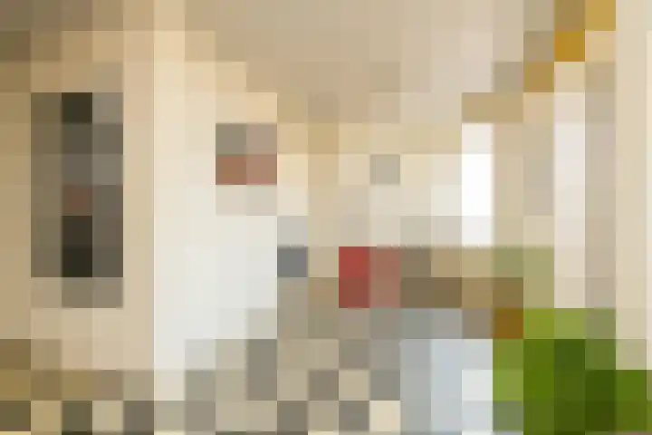 Laan van Meerdervoort 205 F Den Haag thumbnail 16