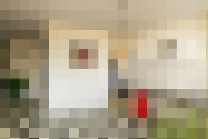Laan van Meerdervoort 205 F Den Haag thumbnail 18