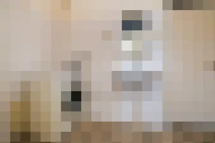 Laan van Meerdervoort 205 F Den Haag thumbnail 24