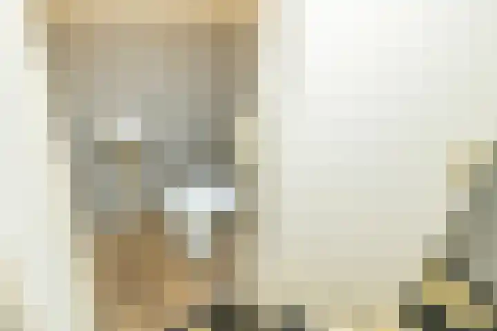 Laan van Meerdervoort 205 F Den Haag thumbnail 26
