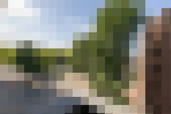 Laan van Meerdervoort 205 F Den Haag thumbnail 28