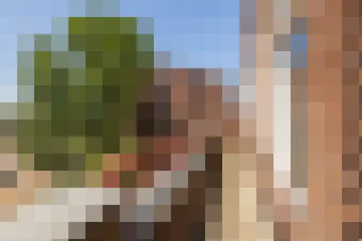 Laan van Meerdervoort 205 F Den Haag thumbnail 31