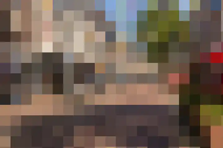 Laan van Meerdervoort 205 F Den Haag thumbnail 34
