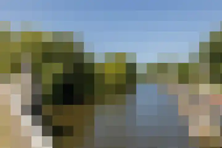 Laan van Meerdervoort 205 F Den Haag thumbnail 38