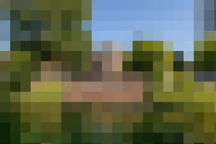 Laan van Meerdervoort 205 F Den Haag thumbnail 44
