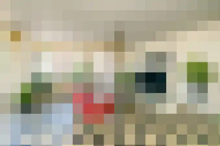 Laan van Meerdervoort 205 F Den Haag thumbnail 6
