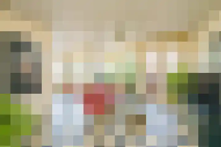 Laan van Meerdervoort 205 F Den Haag thumbnail 7