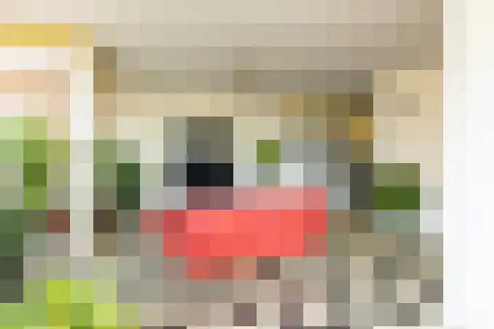 Laan van Meerdervoort 205 F Den Haag thumbnail 9