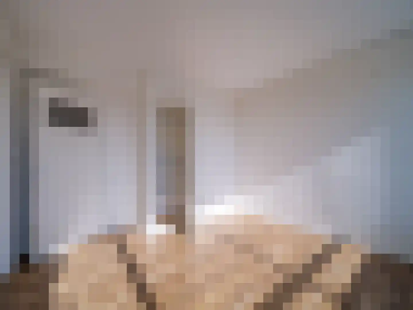Laan van Meerdervoort 220 B Den Haag thumbnail 17