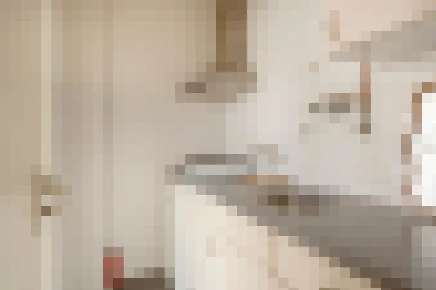 Laan van Meerdervoort 246 Den Haag thumbnail 16