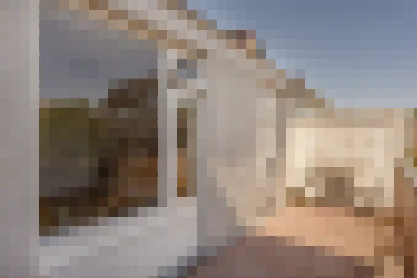Laan van Meerdervoort 246 E Den Haag thumbnail 17