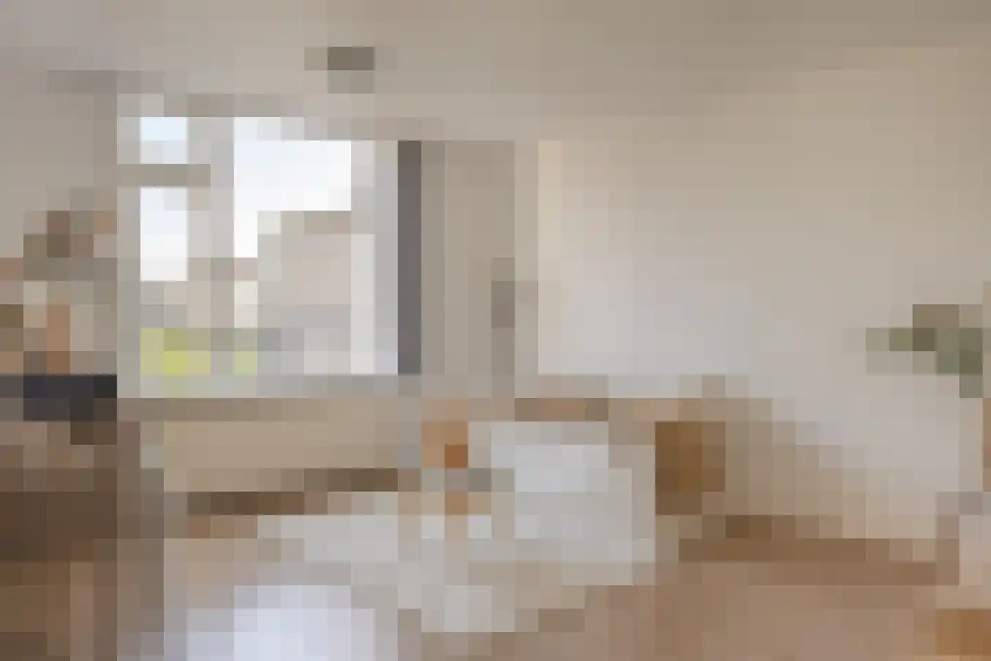 Laan van Meerdervoort 246 E Den Haag thumbnail 6