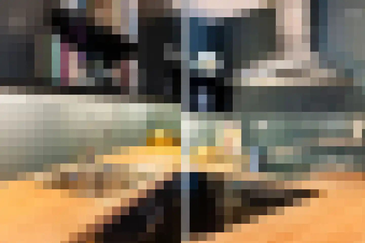 Laan van Meerdervoort 25 P Den Haag thumbnail 31