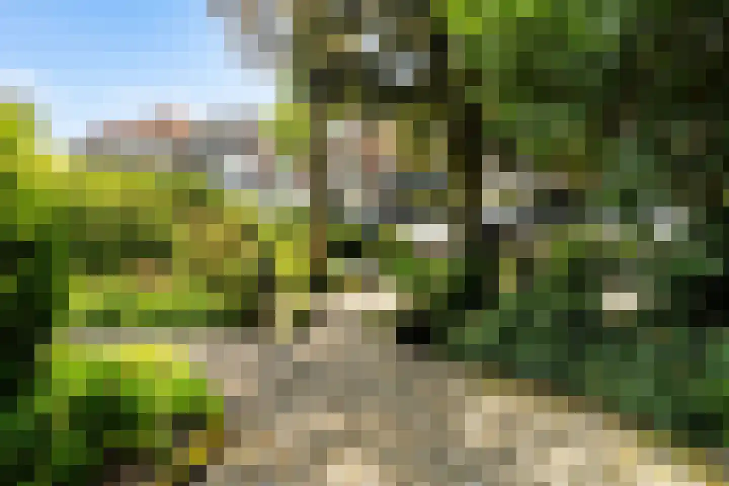 Laan van Meerdervoort 25 P Den Haag thumbnail 56