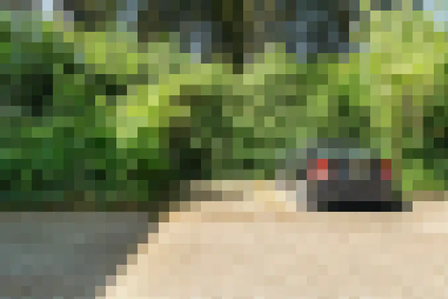 Laan van Meerdervoort 25 P Den Haag thumbnail 57