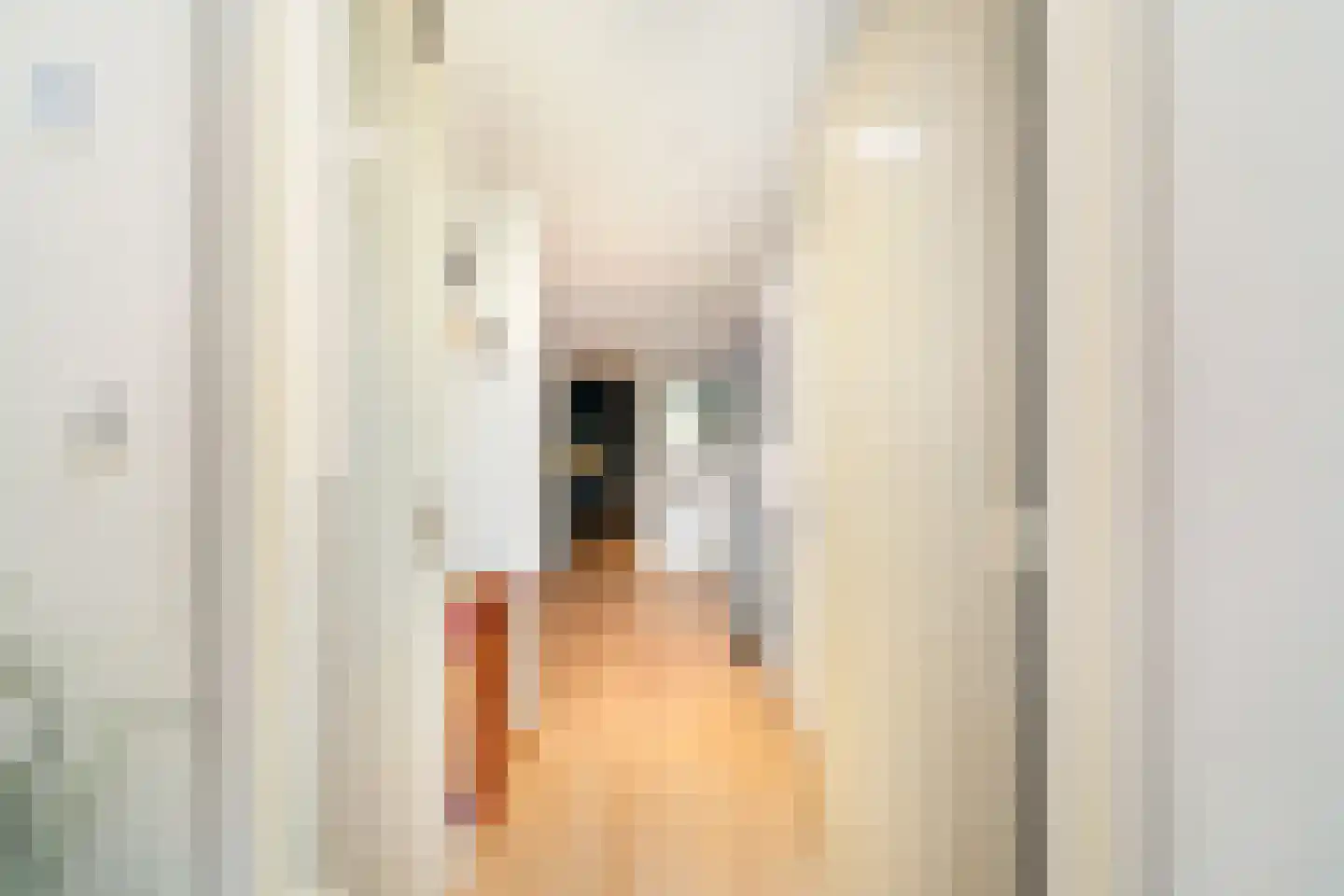 Laan van Meerdervoort 25 P Den Haag thumbnail 9