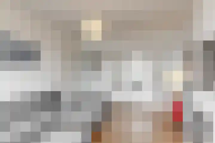Laan van Meerdervoort 253 A Den Haag thumbnail 10