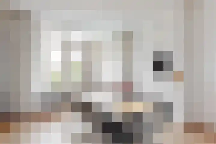 Laan van Meerdervoort 253 A Den Haag thumbnail 15