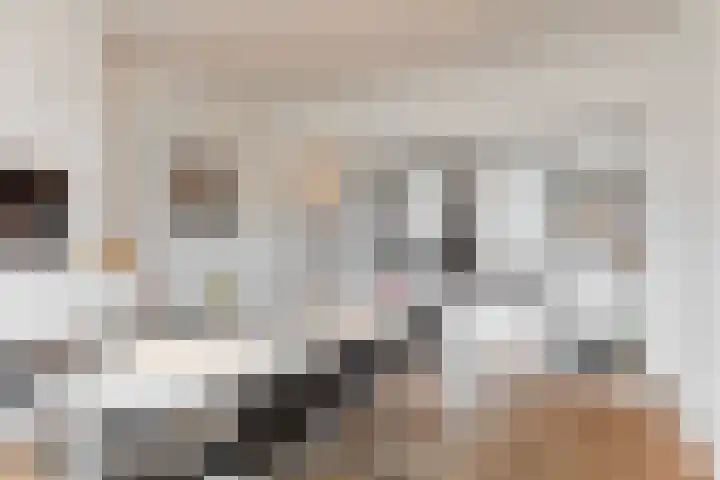Laan van Meerdervoort 253 A Den Haag thumbnail 16