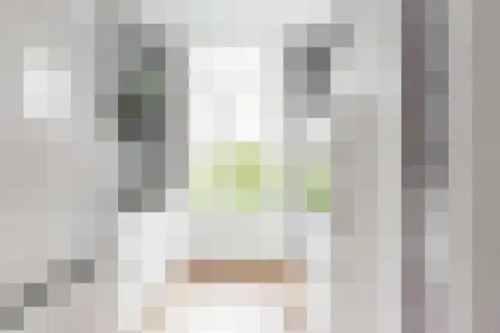 Laan van Meerdervoort 253 A Den Haag thumbnail 18