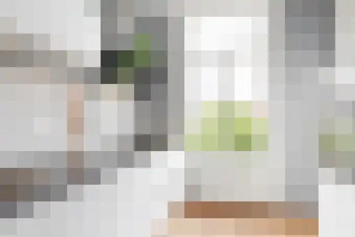Laan van Meerdervoort 253 A Den Haag thumbnail 19