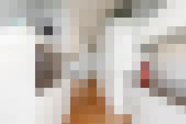 Laan van Meerdervoort 253 A Den Haag thumbnail 21