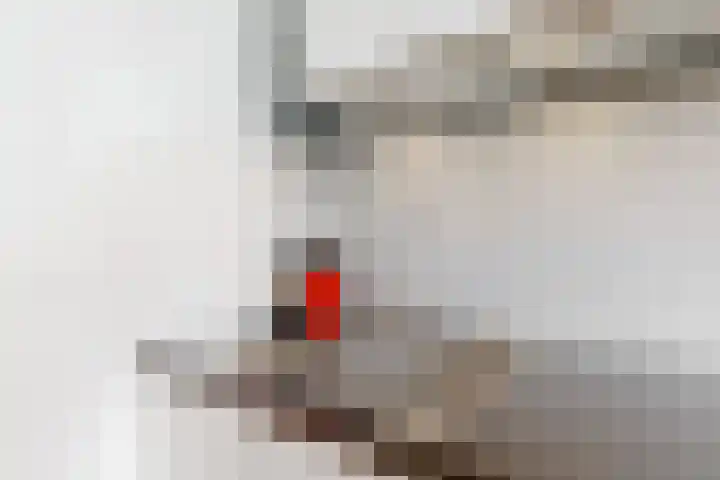 Laan van Meerdervoort 253 A Den Haag thumbnail 22