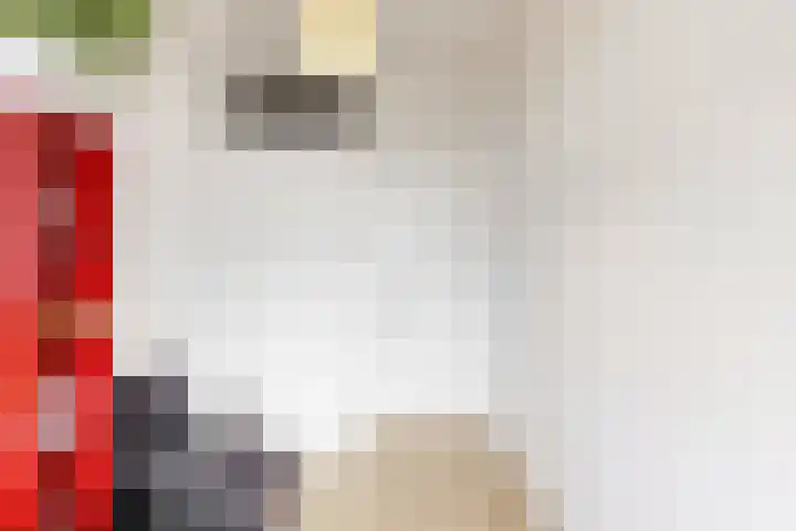 Laan van Meerdervoort 253 A Den Haag thumbnail 24