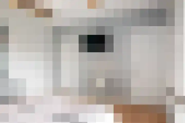 Laan van Meerdervoort 253 A Den Haag thumbnail 30