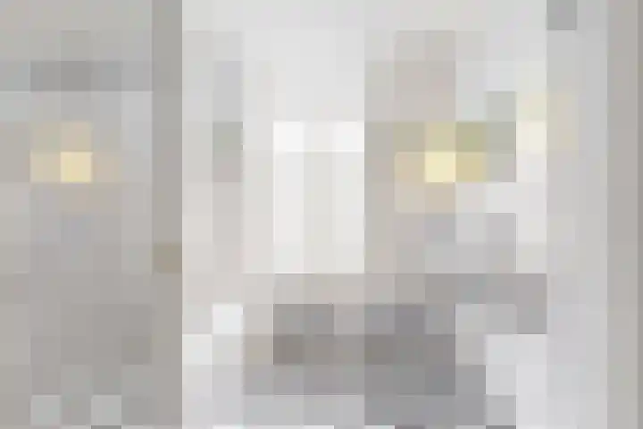 Laan van Meerdervoort 253 A Den Haag thumbnail 32