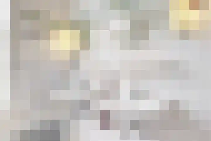Laan van Meerdervoort 253 A Den Haag thumbnail 33
